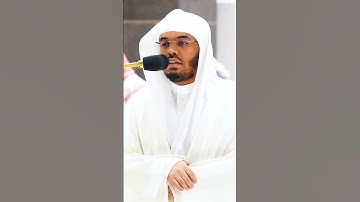 ومن لم يجعل الله له نوراً فماله من نور ~ تلاوات خاشعة جداً بصوت الشيخ ياسر الدوسري❤