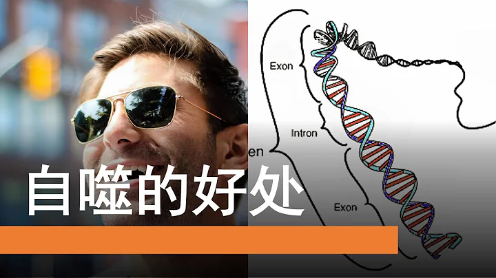 开启抗衰老模式 🎍  打开长寿基因 | 自噬带来的好处 - 天天要闻