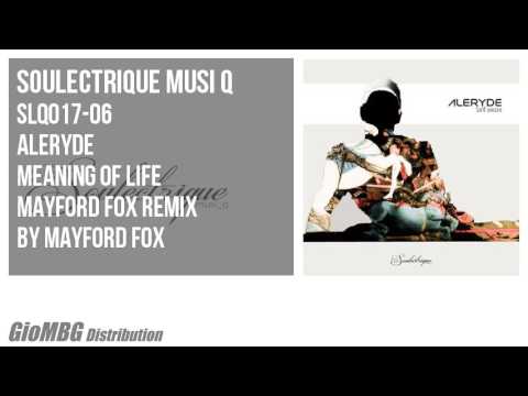 Aleryde - Meaning Of Life [Mayford Fox Remix]