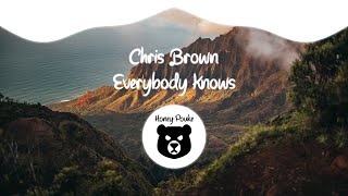 Chris Brown - Everybody Knows