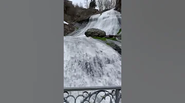 Ջրահարսի վարսեր 