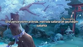 Your Name Sparkle Türkçe Çeviri