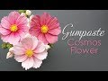 How to make a Gumpaste Cosmos Flower Tutorial