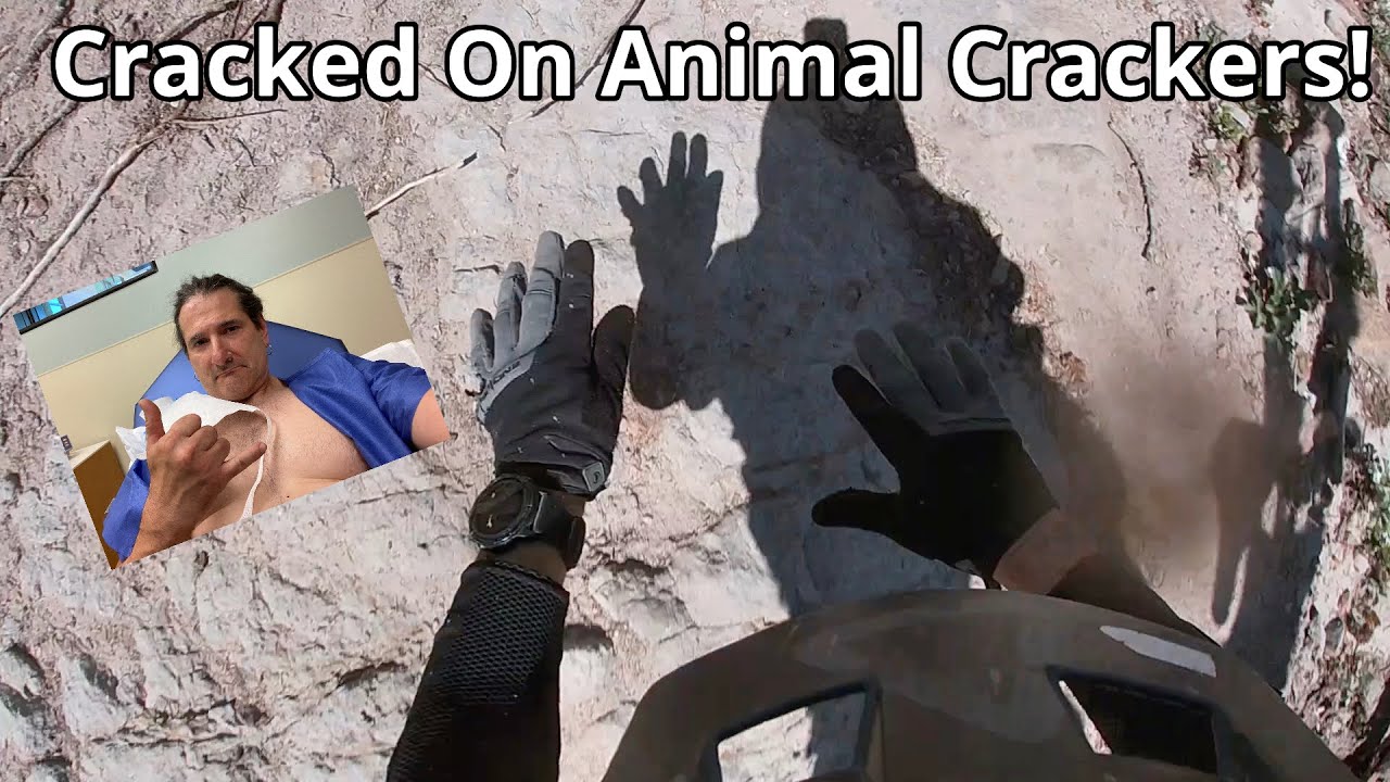 Cracked On Animal Crackers! YouTube