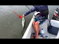 Catching Tarpon on a SHRIMP in Pensacola, Florida!