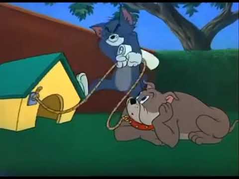 tom-&-jerry-meme-template---fit-to-be-tied-meme---tom-repeatedly-hits-spike---iceflyer391