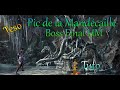 Teso  tuto donjon pic de la mandcaille boss final zaan hard mode fr