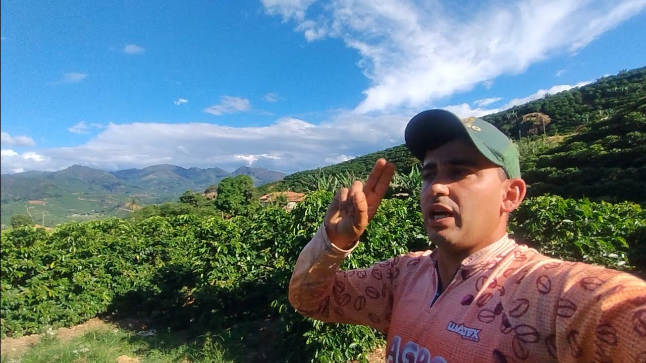 Valor do dia de Trabalho nas Lavoura de CAFÉ 2026