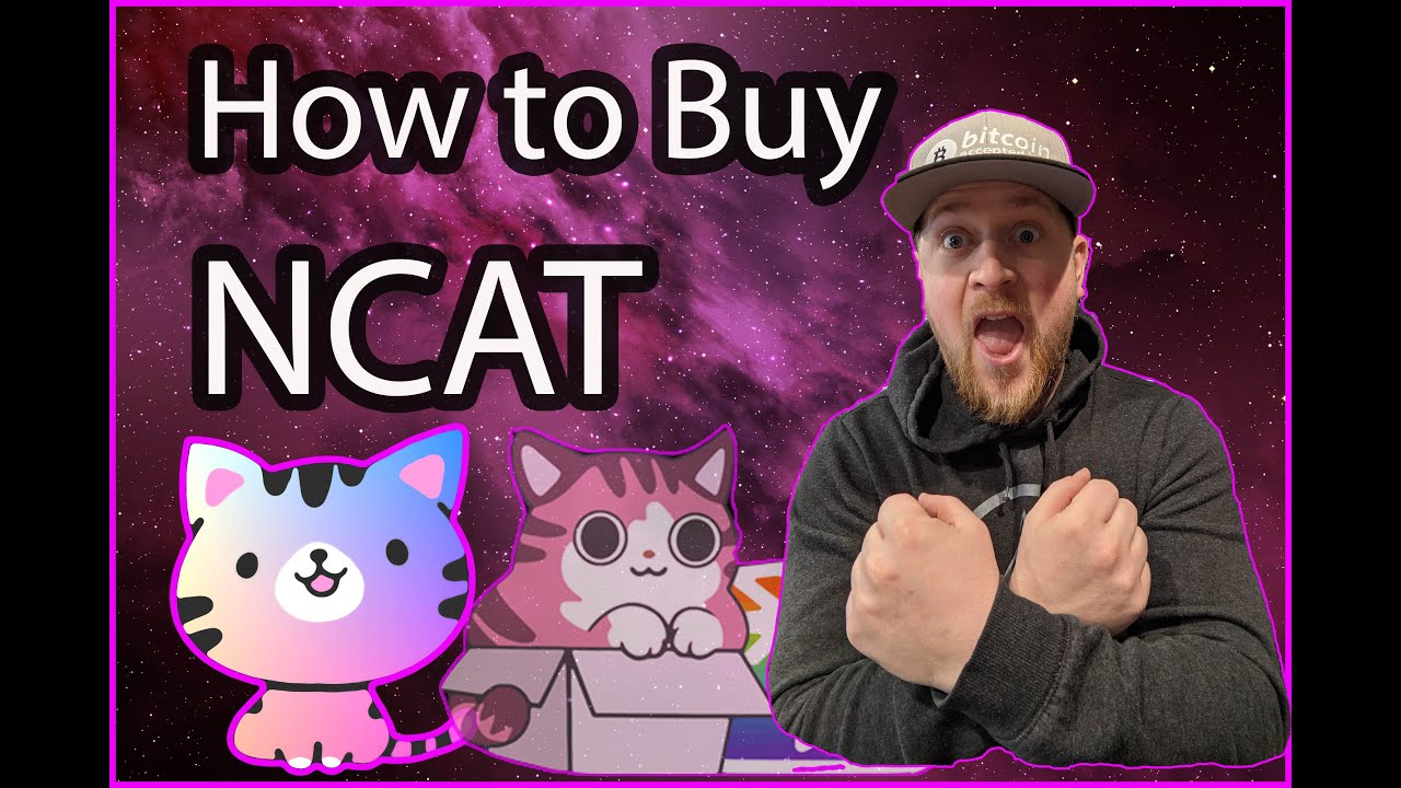 Ncat Price Crypto Spg Pack Com