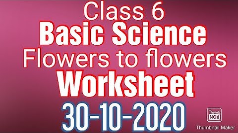 Class 6 basic science flower to flower worksheet 30-10-2020 | for English Medium | victers Std 6