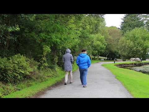 Video: Parcul Național Connemara: Ghidul complet