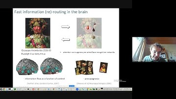 Flexible information processing in complex networks: from brains to neuromorphic computing