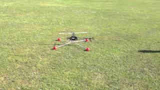 Align T-REX 450 Battery dead