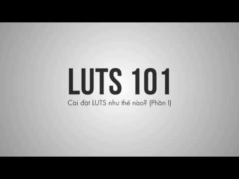[ LUT 101 ]  Hướng dẫn sử dụng LUT với phần mềm Adobe Primiere