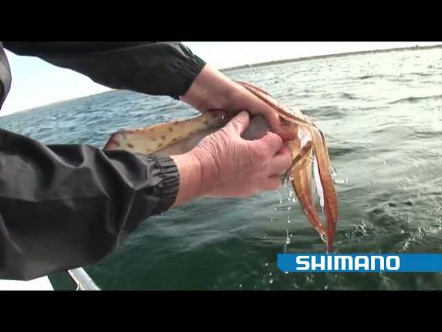 How to catch Squid Part 1 - SHIMANO FISHING 