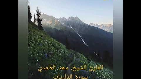 تلاوة خاشعة للشيخ سعد الغامدي من سورة الذاريات