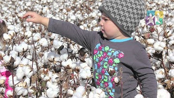 TAPS - Adventurous play—Developing a culture of risky play - FULL version