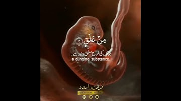 ﴿ سورة العلق: ١-٥ ﴾🎙️صلاح بوخاطر