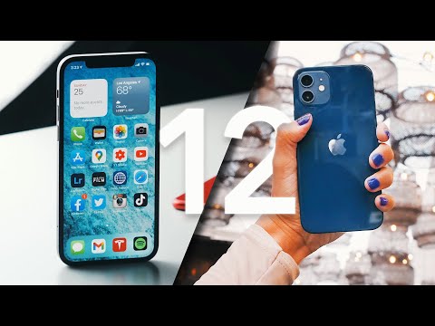 the iPhone 12 you should buy  Not PRO 