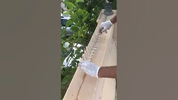 اشياك طارد الحمام 0545597645 
