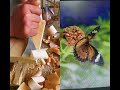 Wood carving smoothly 💪 #woodcarving #woodcraft #craft