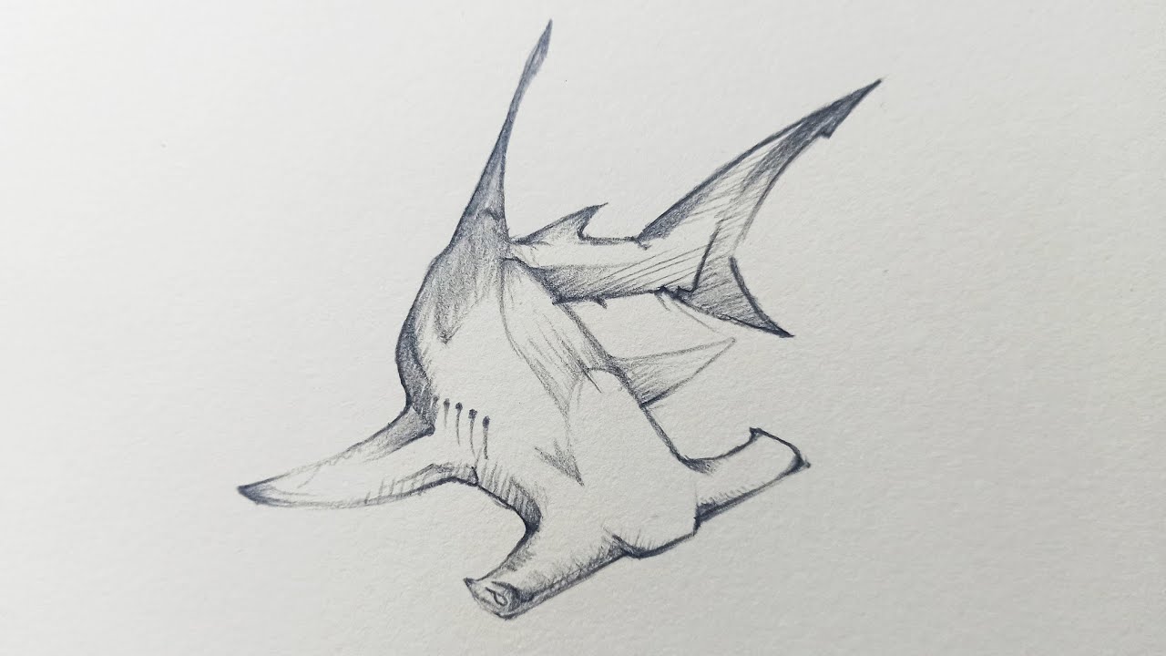 Drawing Hammerhead Shark, Vẽ Cá Mập Đầu Búa - Youtube