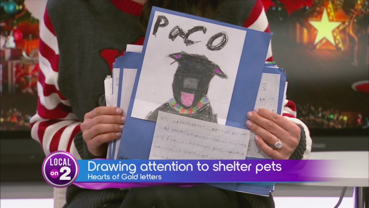 Heart of Gold letters: Drawing attention to shelter pets - YouTube
