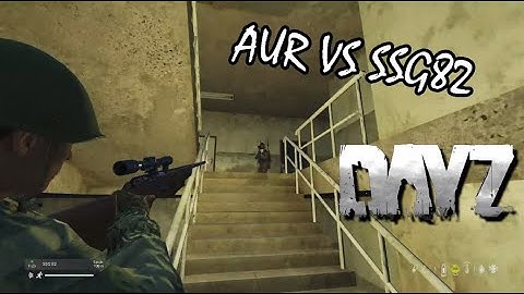 DayZ - AUR vs SSG82