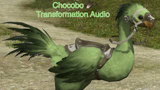 Chocobo 🪶 Transformation Audio