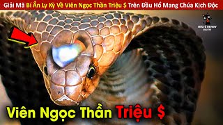 Giải Mã Bí Ẩn Ly Kỳ Về Viên Ngọc Thần Triệu $ Trên Đầu Hổ Mang Chúa || Review Giải Trí Đời Sống