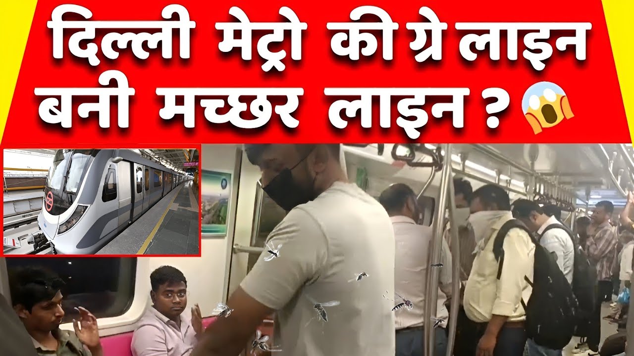 दिल्ली मेट्रो की ग्रे लाइन बनी मच्छर लाइन ? 
