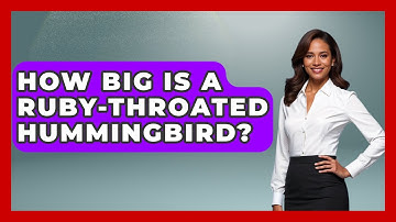 How Big Is A Ruby-throated Hummingbird? - Bird Watching Diaries