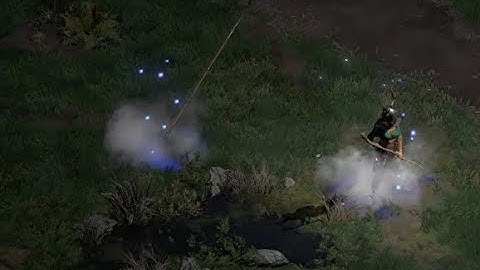 Invisible Mercenary bug | Diablo 2 Resurrected | D2R