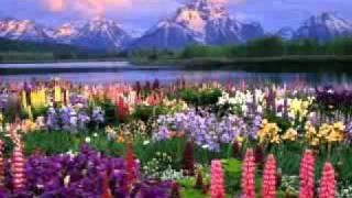 NNPDF 2011 Memorial Presentation