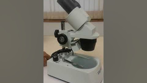 Magnus FM24 Microscope