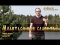 Молиться или славить? Советы Ведуна. Выпуск №5 [Ведзнич]