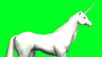 No Copyright free green screen | UNICORN🦄 running animation video | walking animation video |