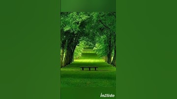 ماتيسر من سوره الواقعه . محمد عرب #اكسبلور #قرآن