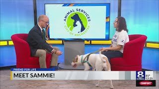 Friend for Life: Meet Sammie!