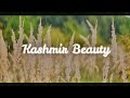 Kashmir beauty cinematic  hafeez chughtai