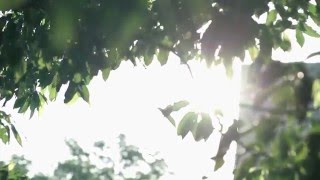 CIMB Niaga Ayahku Pahlawanku