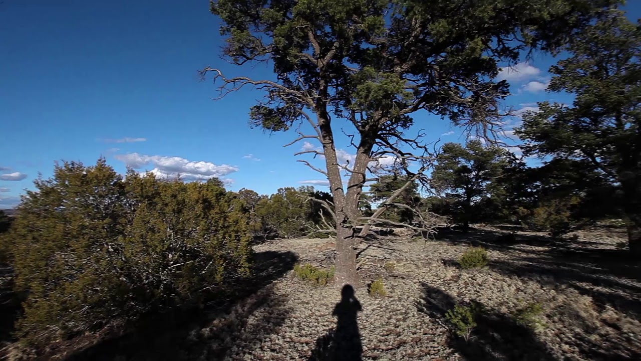 For Sale 10 Acres in Catron County, NM near Horse Peak Moutains 7,950