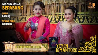 MANUK DARA SEPASANG - TURU BARENG - TENDA BIRU LOSARANG | SEDEKAH BUMI BLOK BENDA SIDAMULYA