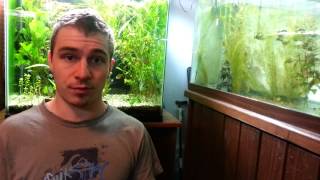8. Save Money Dechlorinating Your Tank @cloud9aquariums