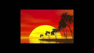 Vanessa R. Vieira Sunshaine On My Shoulders John Denver Cover