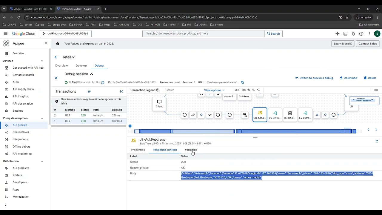 Apigee Service Call Out - Part 6
