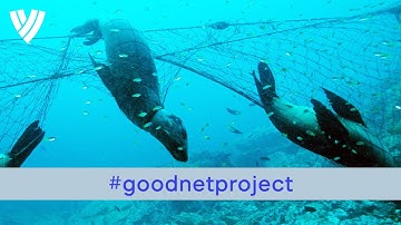 Good Net Project - FIVB x Ghost Fishing