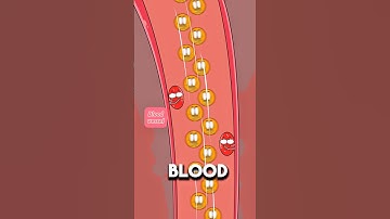 After 8 Weeks, Her Pregnancy Hormones Hit 10,000 😱..!! #health #animation #fypシ #2d #shortsfeed