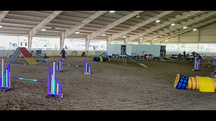 WREN UKI Senior Agility - May 8 2022