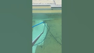 Manually Vacuuming a Pool after it’s been floc’d